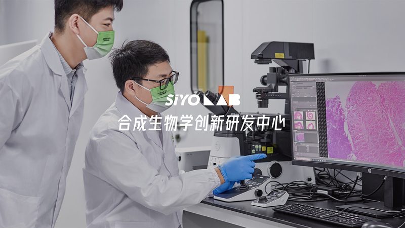 分子克隆中的得力助手：高保真聚合酶的选择与考量**