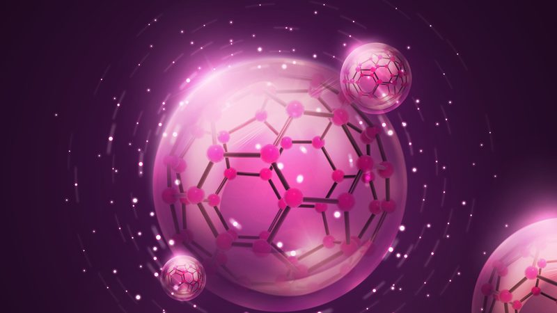 抗体人源化改造：关键步骤与核心方法解析