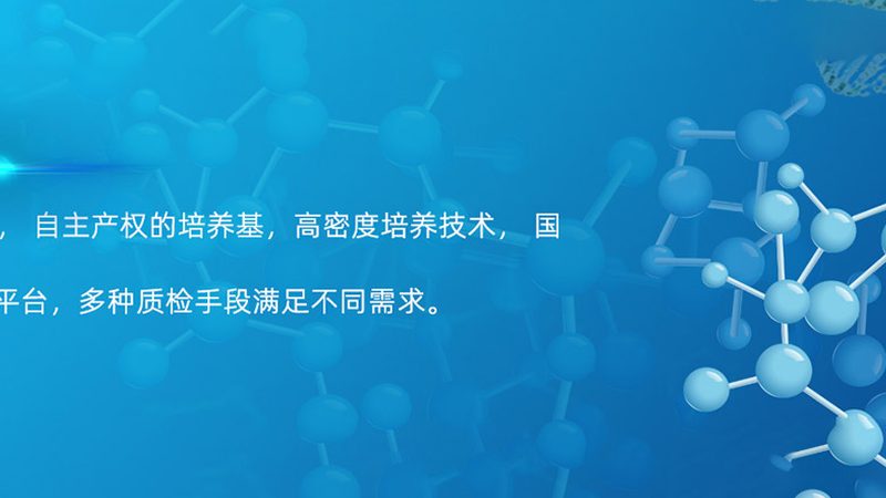 CDMO技术服务费：揭秘计算背后的逻辑