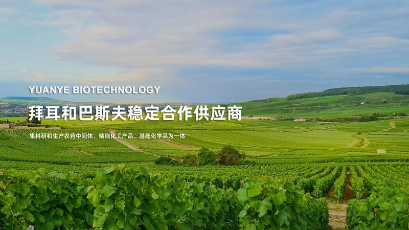 代理公司的技术实力是选择加盟的重要因素。可以从以下几个方面进行考察：