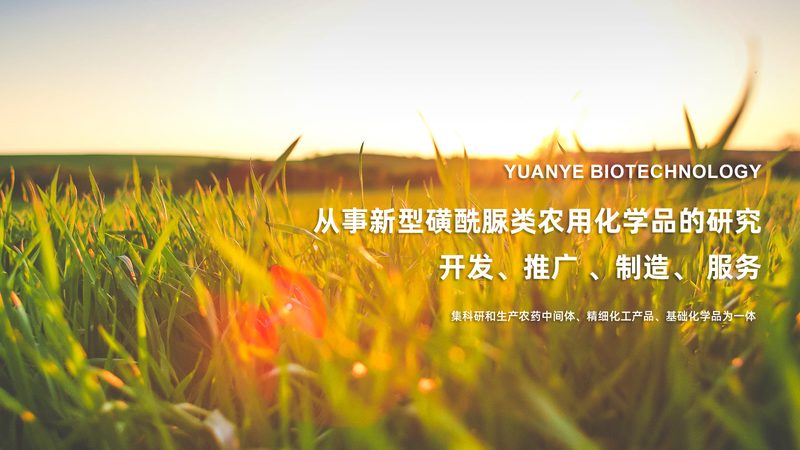 无创产前基因检测：标准规范背后的科学逻辑