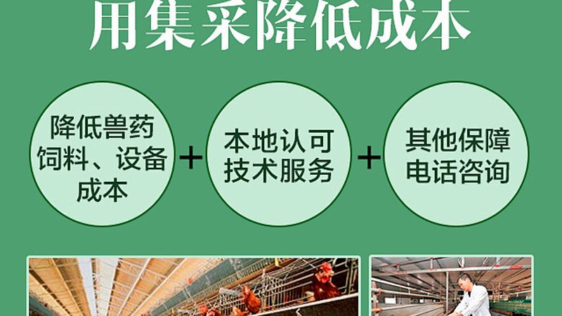 基因检测与筛查：揭秘批发价格背后的真相