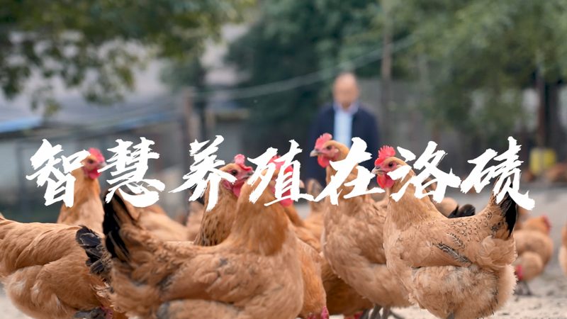 微量离心管规格解析：选择与实验需求相匹配的利器