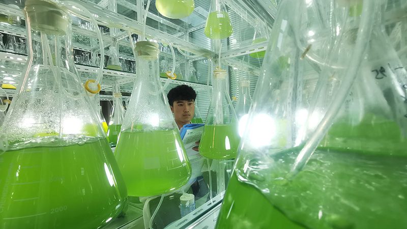 抗体产品质检报告：揭秘背后的关键信息